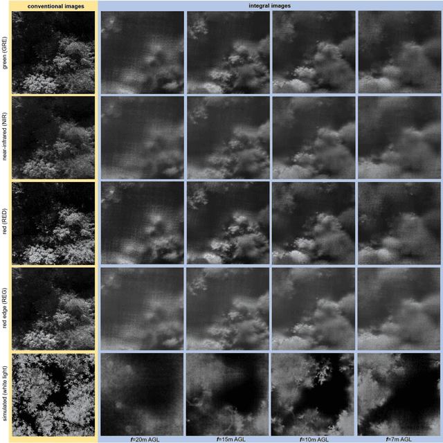 Figure 4 for DeepForest: Sensing Into Self-Occluding Volumes of Vegetation With Aerial Imaging