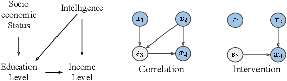 Figure 1 for Causal Inference via Predictive Coding