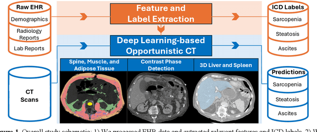 Figure 1 for Detecting Underdiagnosed Medical Conditions with Deep Learning-Based Opportunistic CT Imaging