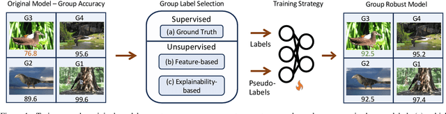 Figure 1 for ExMap: Leveraging Explainability Heatmaps for Unsupervised Group Robustness to Spurious Correlations