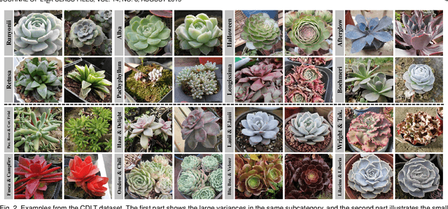 Figure 3 for CDLT: A Dataset with Concept Drift and Long-Tailed Distribution for Fine-Grained Visual Categorization