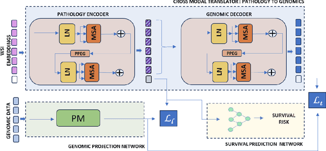 Figure 1 for PathoGen-X: A Cross-Modal Genomic Feature Trans-Align Network for Enhanced Survival Prediction from Histopathology Images