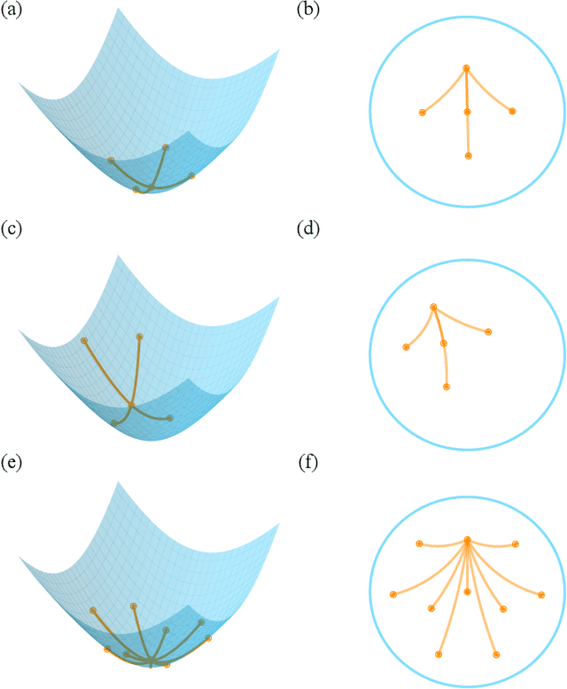 Figure 1 for Hyperbolic Convolution via Kernel Point Aggregation