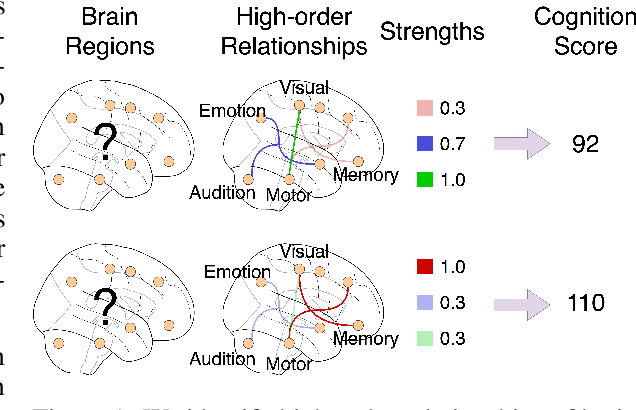 Figure 1 for Learning High-Order Relationships of Brain Regions