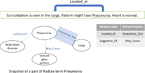 Figure 1 for RadLing: Towards Efficient Radiology Report Understanding