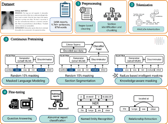 Figure 3 for RadLing: Towards Efficient Radiology Report Understanding