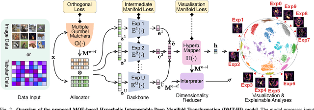 Figure 2 for DMT-HI: MOE-based Hyperbolic Interpretable Deep Manifold Transformation for Unspervised Dimensionality Reduction