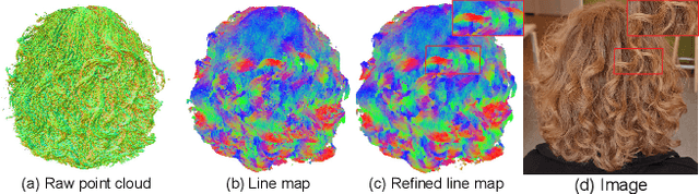 Figure 4 for MonoHair: High-Fidelity Hair Modeling from a Monocular Video