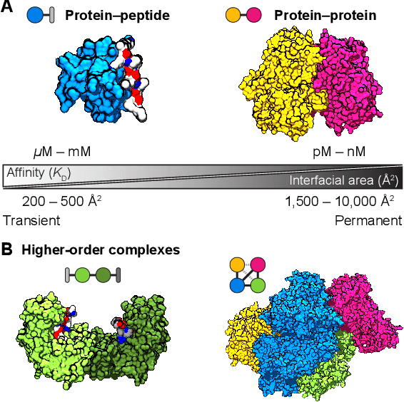 Figure 1 for Growing ecosystem of deep learning methods for modeling protein$\unicode{x2013}$protein interactions