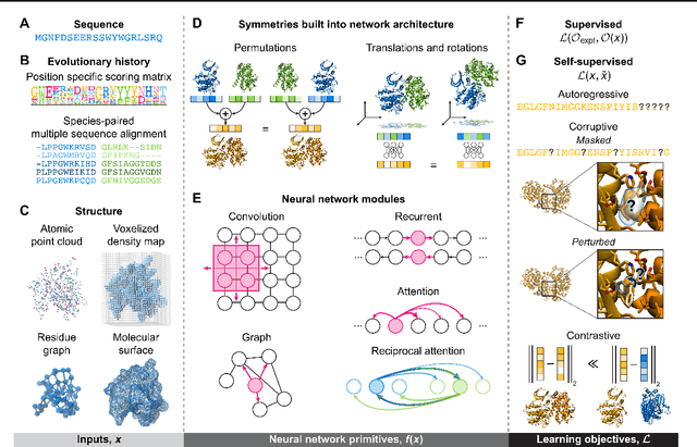 Figure 2 for Growing ecosystem of deep learning methods for modeling protein$\unicode{x2013}$protein interactions