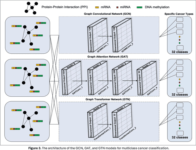 Figure 4 for Comparative Analysis of Multi-Omics Integration Using Advanced Graph Neural Networks for Cancer Classification