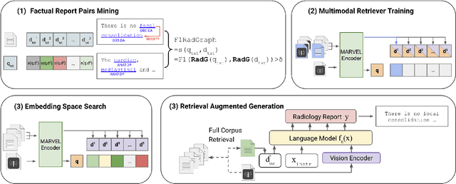 Figure 1 for Fact-Aware Multimodal Retrieval Augmentation for Accurate Medical Radiology Report Generation