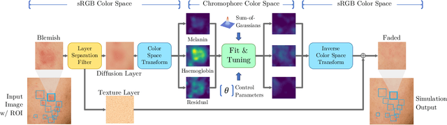 Figure 1 for Controllable and Gradual Facial Blemishes Retouching via Physics-Based Modelling