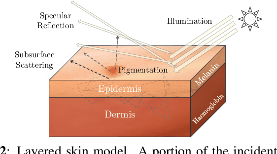 Figure 3 for Controllable and Gradual Facial Blemishes Retouching via Physics-Based Modelling