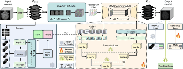 Figure 3 for VasTSD: Learning 3D Vascular Tree-state Space Diffusion Model for Angiography Synthesis