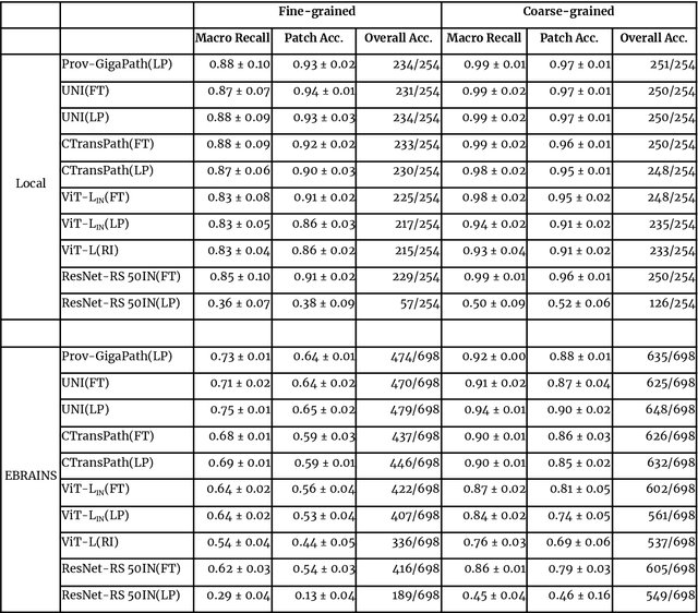 Figure 1 for Transfer Learning Strategies for Pathological Foundation Models: A Systematic Evaluation in Brain Tumor Classification