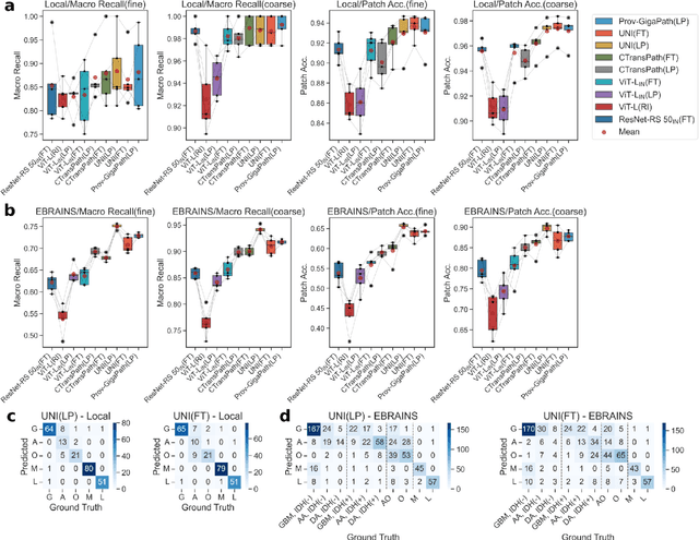 Figure 3 for Transfer Learning Strategies for Pathological Foundation Models: A Systematic Evaluation in Brain Tumor Classification