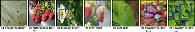 Figure 3 for Class-Incremental Learning of Plant and Disease Detection: Growing Branches with Knowledge Distillation