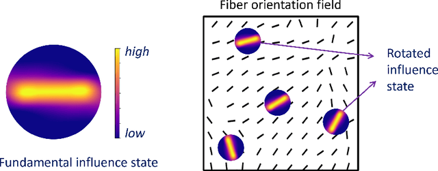 Figure 1 for Heterogeneous Peridynamic Neural Operators: Discover Biotissue Constitutive Law and Microstructure From Digital Image Correlation Measurements