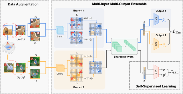 Figure 1 for Enhanced Few-Shot Class-Incremental Learning via Ensemble Models