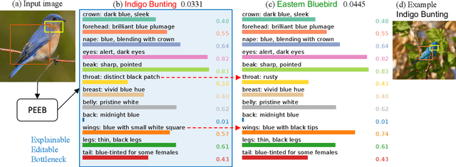 Figure 3 for PEEB: Part-based Image Classifiers with an Explainable and Editable Language Bottleneck