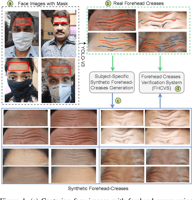 Figure 1 for Synthetic Forehead-creases Biometric Generation for Reliable User Verification