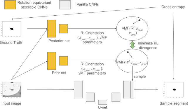 Figure 1 for Probabilistic U-Net with Kendall Shape Spaces for Geometry-Aware Segmentations of Images