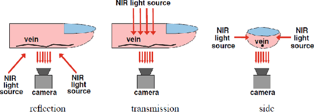 Figure 1 for 3D printed realistic finger vein phantoms