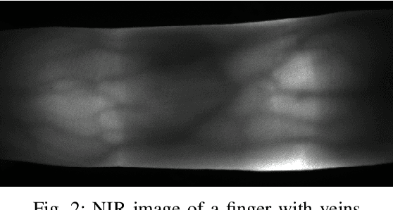 Figure 2 for 3D printed realistic finger vein phantoms