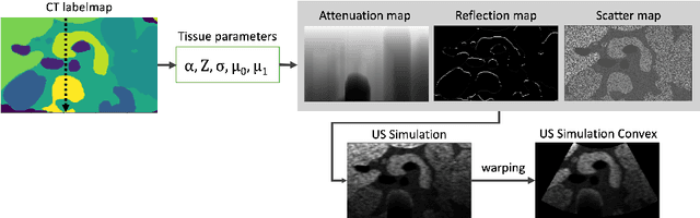 Figure 3 for LOTUS: Learning to Optimize Task-based US representations