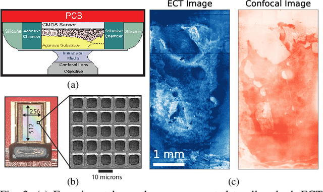 Figure 2 for Microscale 3-D Capacitance Tomography with a CMOS Sensor Array