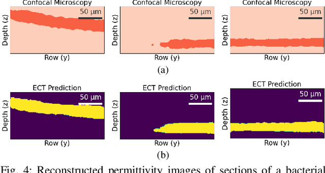 Figure 4 for Microscale 3-D Capacitance Tomography with a CMOS Sensor Array