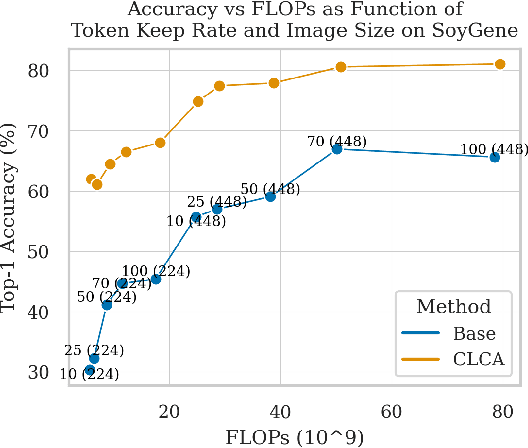 Figure 1 for Cross-Layer Cache Aggregation for Token Reduction in Ultra-Fine-Grained Image Recognition