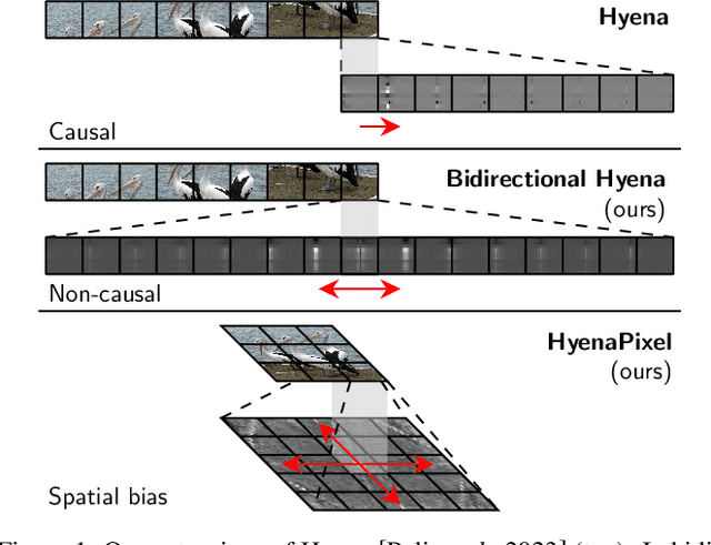Figure 1 for HyenaPixel: Global Image Context with Convolutions