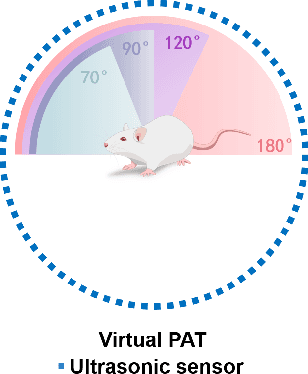 Figure 1 for Limited-View Photoacoustic Imaging Reconstruction Via High-quality Self-supervised Neural Representation