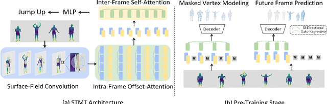 Figure 2 for STMT: A Spatial-Temporal Mesh Transformer for MoCap-Based Action Recognition