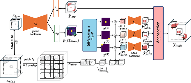 Figure 2 for No More Sliding Window: Efficient 3D Medical Image Segmentation with Differentiable Top-k Patch Sampling