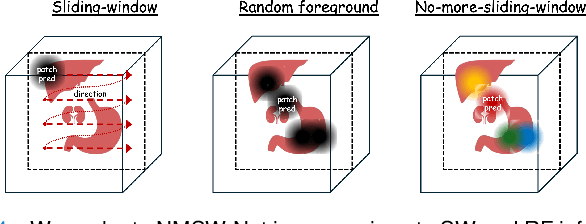 Figure 4 for No More Sliding Window: Efficient 3D Medical Image Segmentation with Differentiable Top-k Patch Sampling