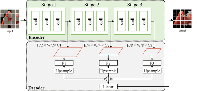 Figure 1 for Masked Autoencoders Are Robust Neural Architecture Search Learners