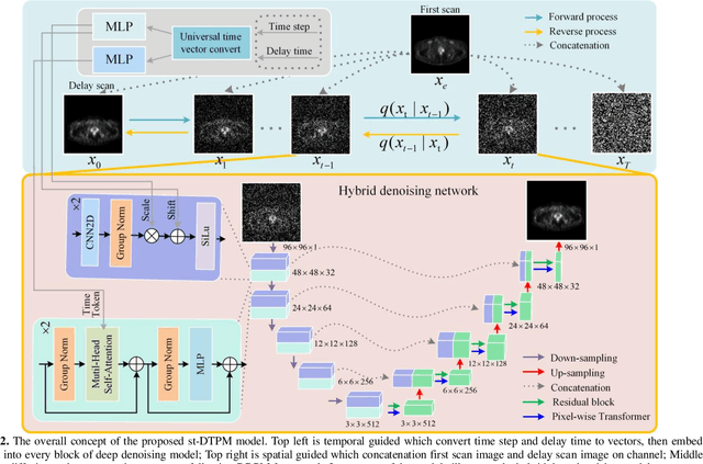 Figure 2 for st-DTPM: Spatial-Temporal Guided Diffusion Transformer Probabilistic Model for Delayed Scan PET Image Prediction