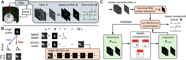 Figure 1 for realSEUDO for real-time calcium imaging analysis