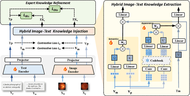 Figure 3 for MM-Retinal V2: Transfer an Elite Knowledge Spark into Fundus Vision-Language Pretraining