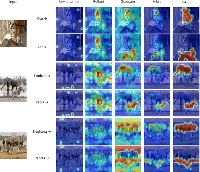 Figure 4 for R-Cut: Enhancing Explainability in Vision Transformers with Relationship Weighted Out and Cut