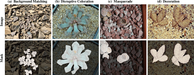 Figure 1 for PlantCamo: Plant Camouflage Detection