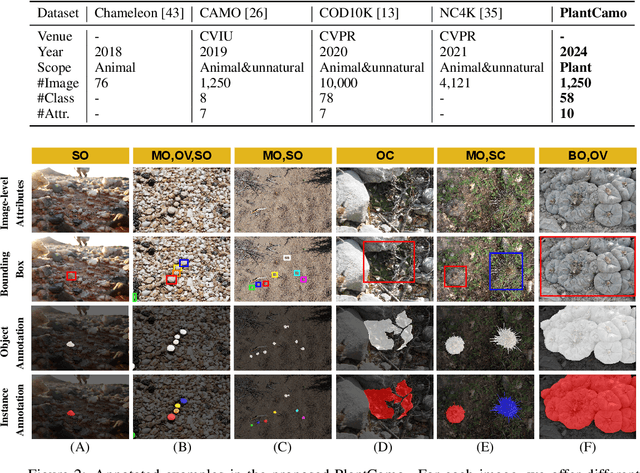 Figure 2 for PlantCamo: Plant Camouflage Detection