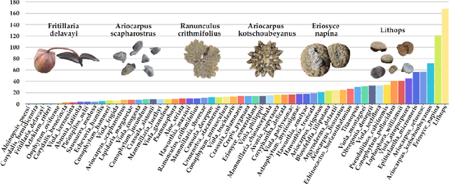 Figure 4 for PlantCamo: Plant Camouflage Detection