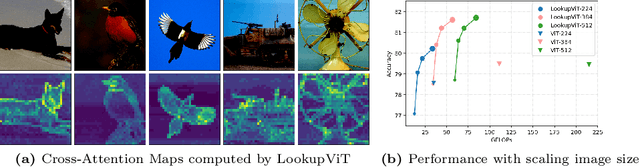 Figure 1 for LookupViT: Compressing visual information to a limited number of tokens