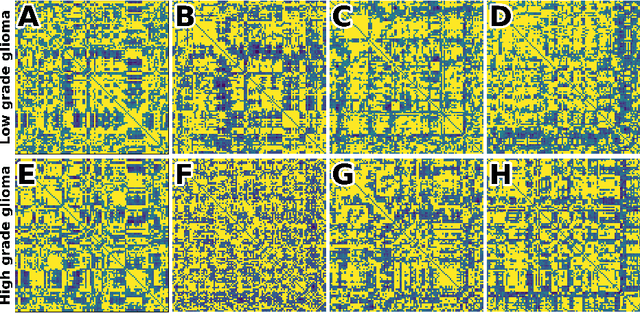 Figure 1 for Deep neuroevolution to predict primary brain tumor grade from functional MRI adjacency matrices