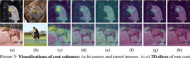 Figure 4 for Unifying Feature and Cost Aggregation with Transformers for Semantic and Visual Correspondence