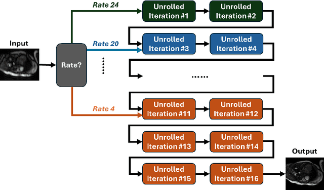 Figure 1 for On the Foundation Model for Cardiac MRI Reconstruction